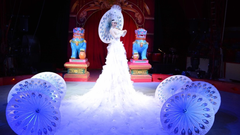 Teatro - "Circo da China On Ice" chega a São Paulo para três apresentações