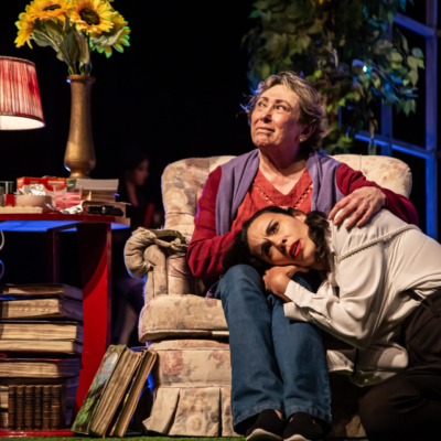 Cinema e TV, Destaque - “Chez Toi – Em Seu Lugar" reestreia em São Paulo no Teatro João Caetano