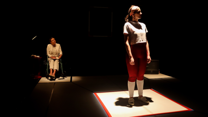 Teatro - Sob direção de Paulo Gabriel e texto de Marcelo Novazzi, "Pietá, Um Fractal de Memórias" estreia nova temporada no Mi Teatro